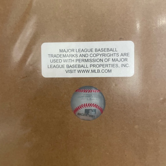 Chicago Cubs 2016 World Series - Picture 2 of 2